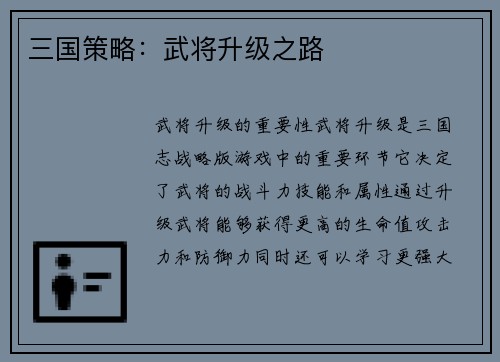三国策略：武将升级之路